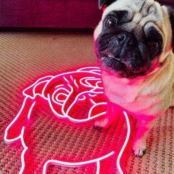 CUTIE -THE PUG NEON SIGN-Neonsigns-Neon Brothers